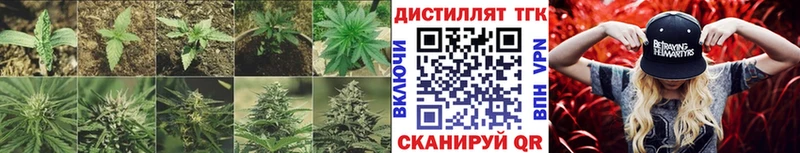 Дистиллят ТГК гашишное масло  наркошоп  кракен сайт  Моршанск 